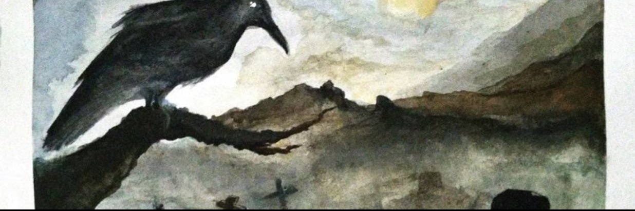 KaganAcican's profile banner image