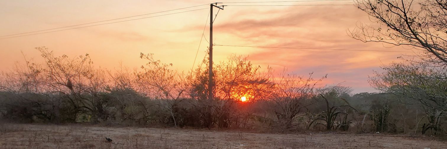 _lycanZ7's profile banner image