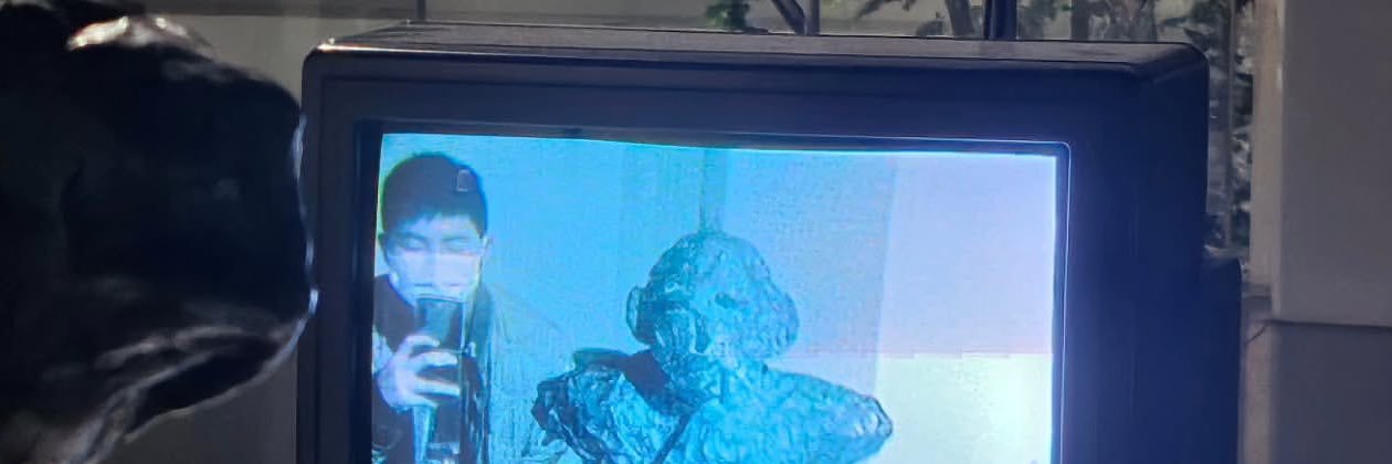lily VA A VER A BTS banner