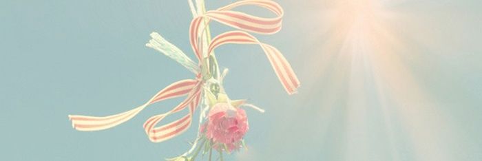 TiaCapucinno's profile banner image