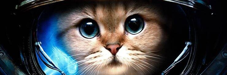 ElPerroRetro (it / that) 🇦🇷⭐️⭐️⭐️🇦🇷 banner