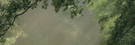 dart goblin shady facts part 6 banner