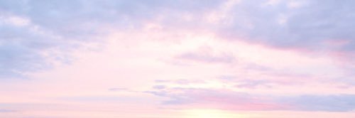1z_hamid's profile banner image