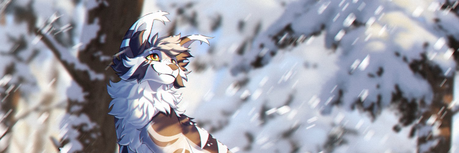 Raiuche ❄️'s banner