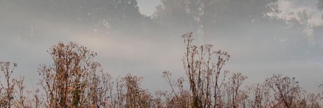 alexmucha2613's profile banner image