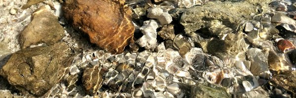 Moose_Said Profile Banner