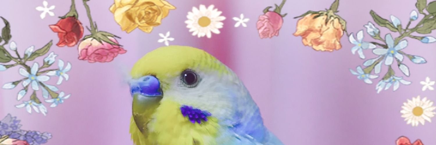 y_cocococo's profile banner image