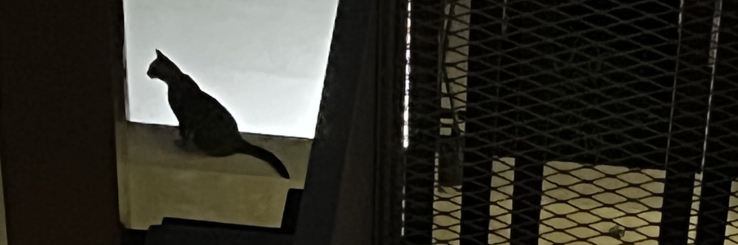 _treejo's profile banner image