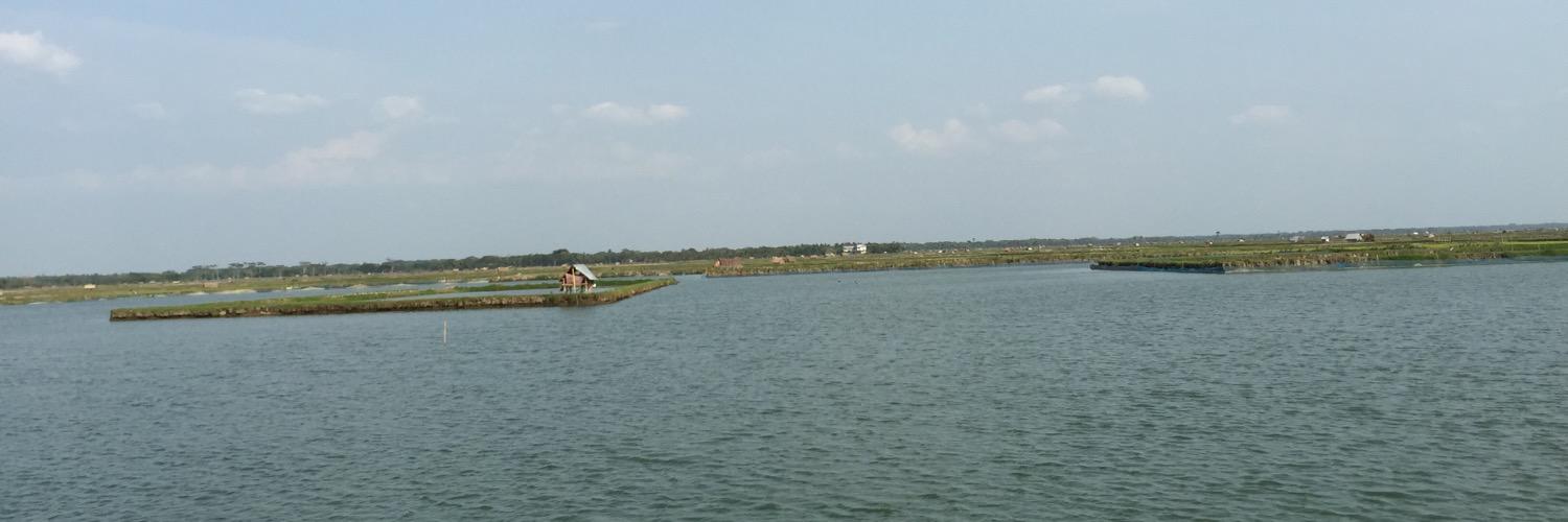 milonbiswas's profile banner image