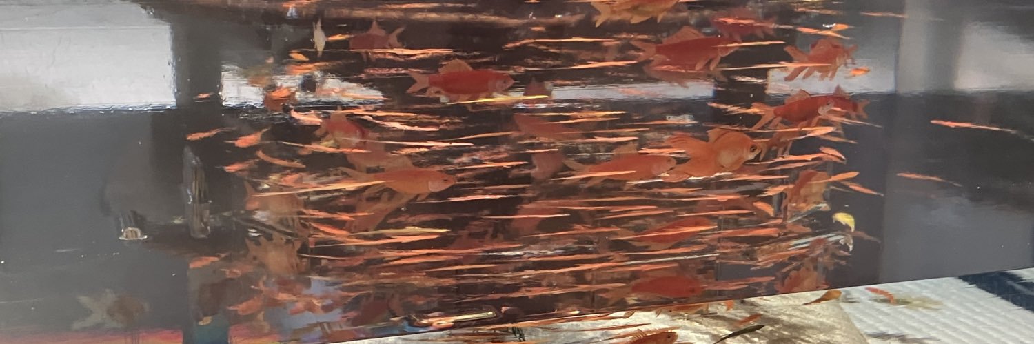 真昼@取引用 banner