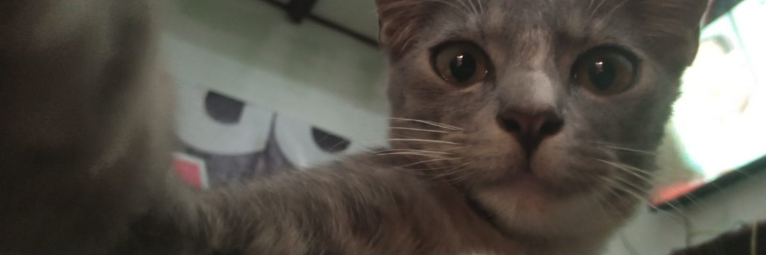 Gramer_05 🇺🇸🇮🇩 banner