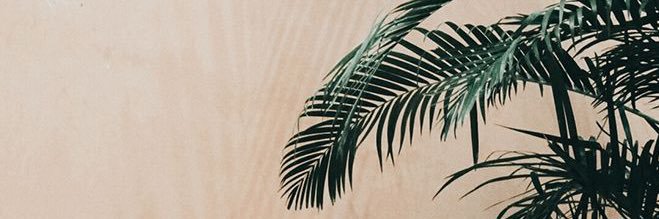 Mariabd_10's profile banner image