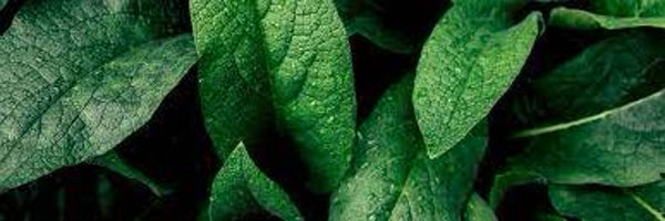 LeShoeGG Profile Banner