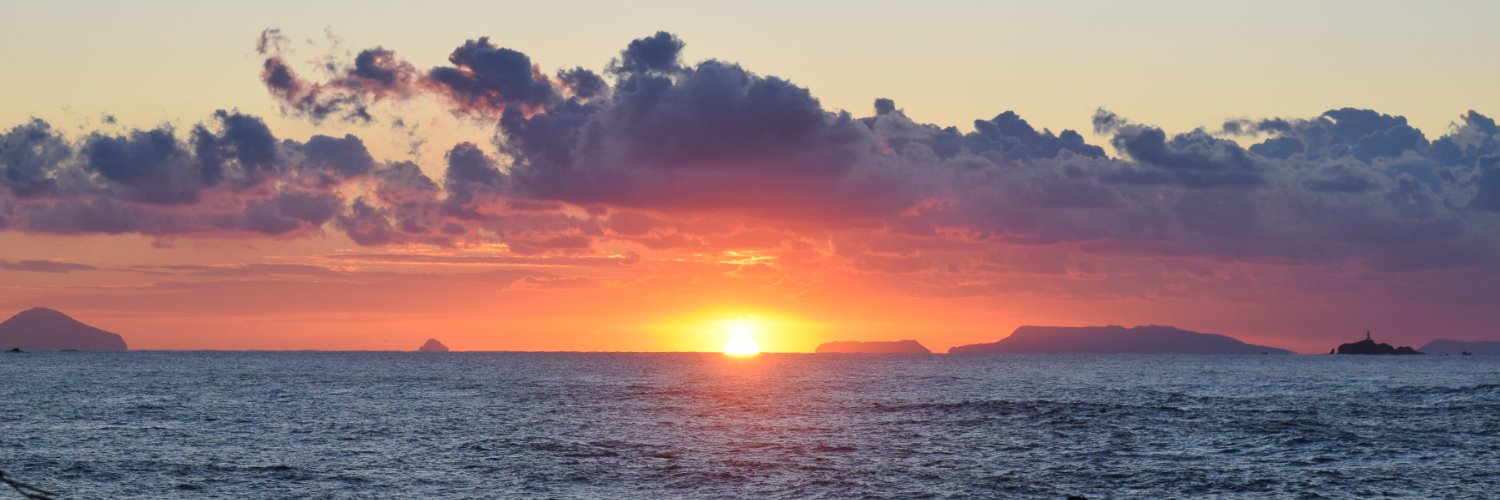 @がみんぐみ banner