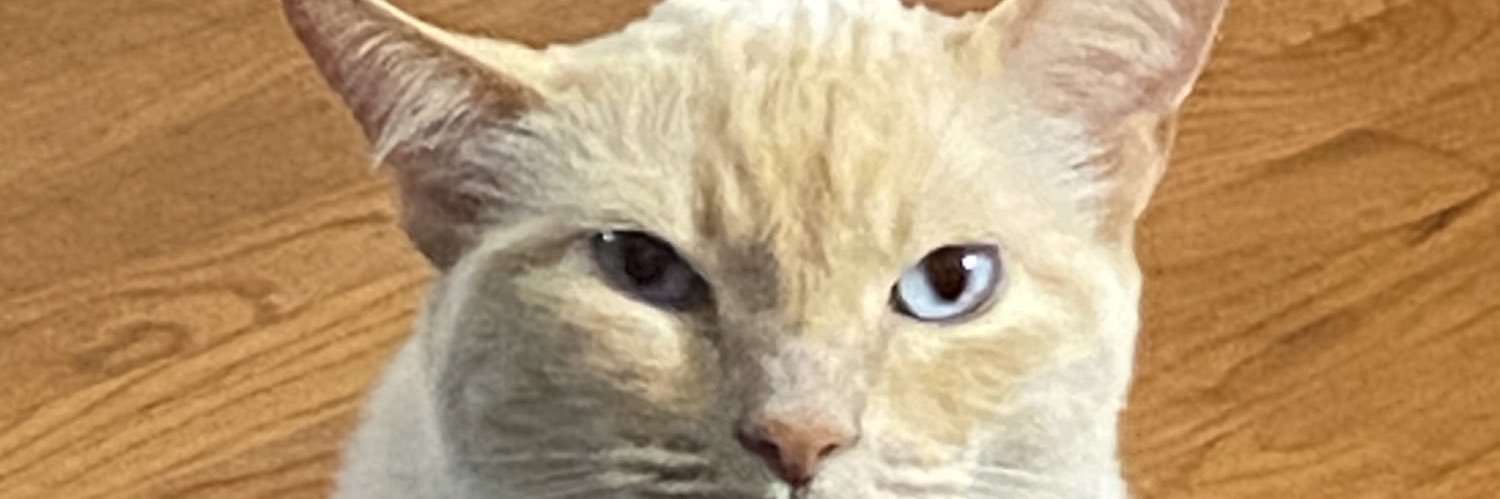 Espiknowsboutit's profile banner image