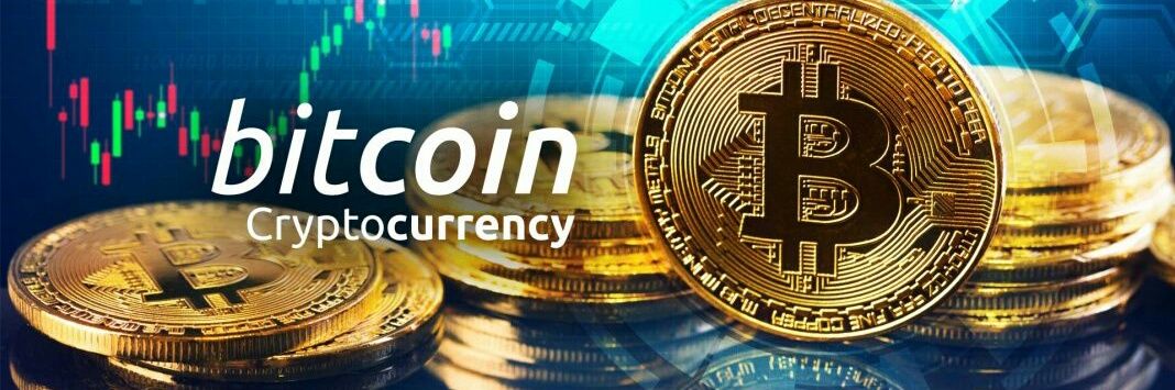 cryptogrizzly 💹🧲 banner