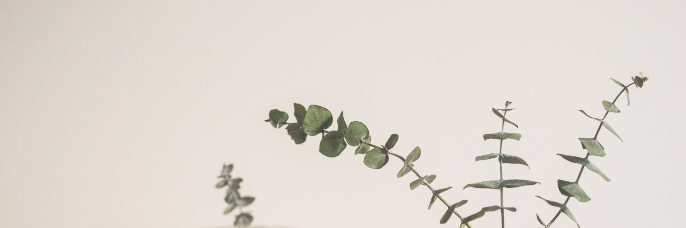 carolmmichael's profile banner image