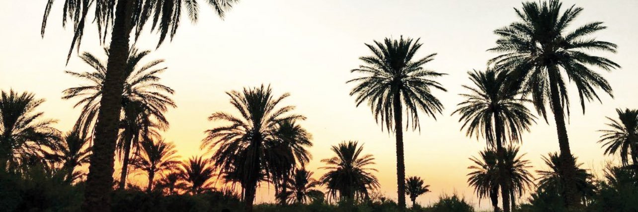 MhaniMr's profile banner image