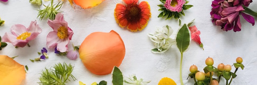 hattiewanning's profile banner image