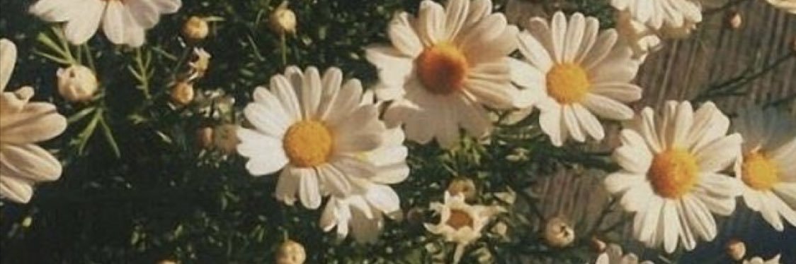 KellyMuhree's profile banner image