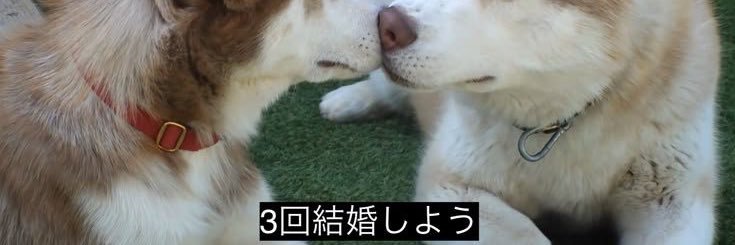 39xof's profile banner image