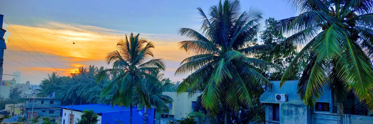 avinashnbhat's profile banner image