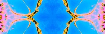 edebum's profile banner image
