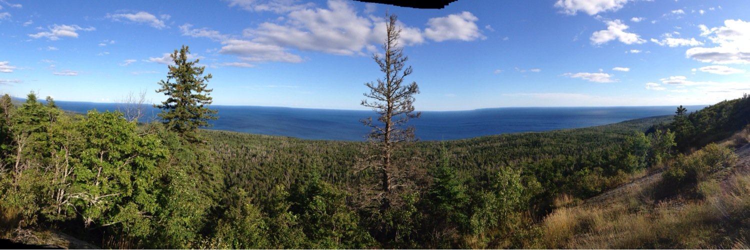 Anthony Wickner banner