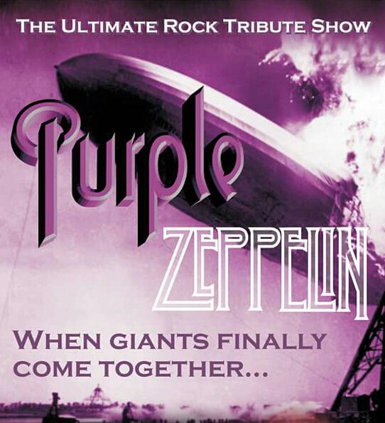 Purple Zeppelin banner