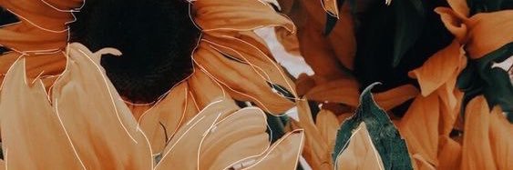 Morganne_Gail's profile banner image