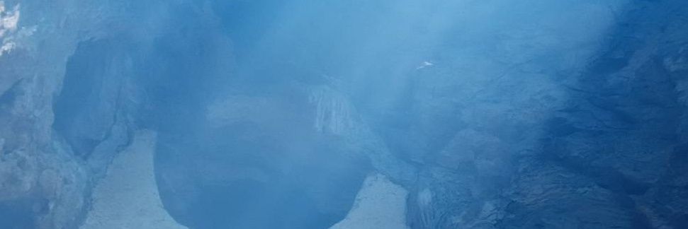 Pava! banner
