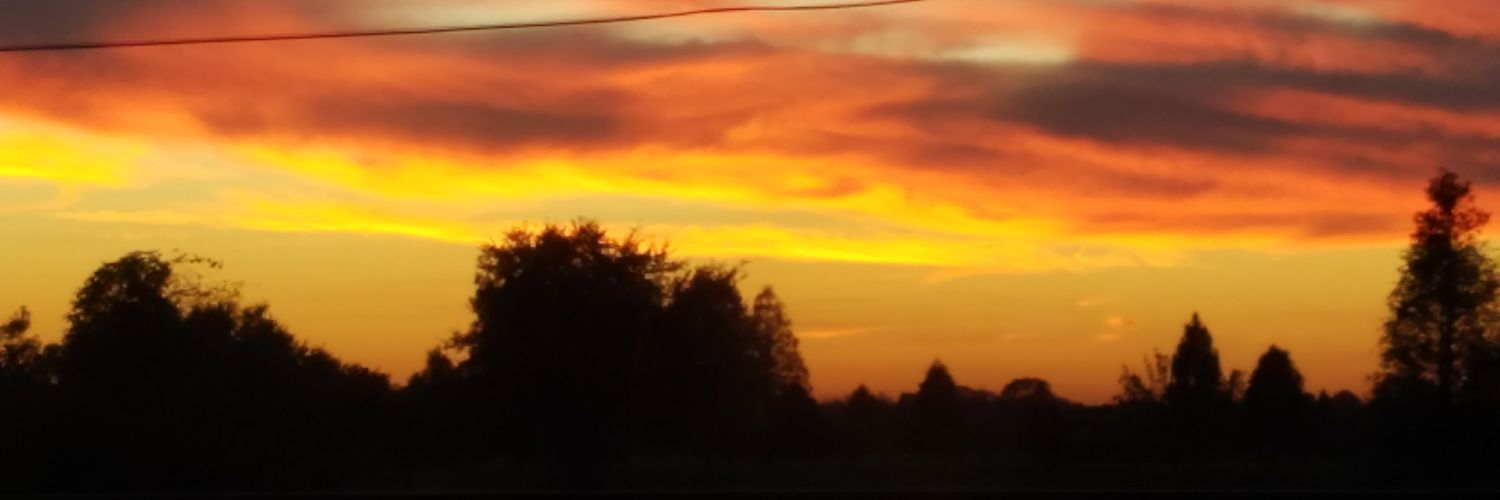 TauntTess's profile banner image