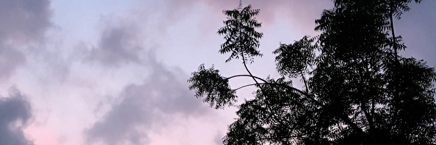 sofiaglzt's profile banner image