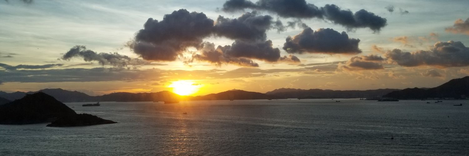 anusmit1's profile banner image