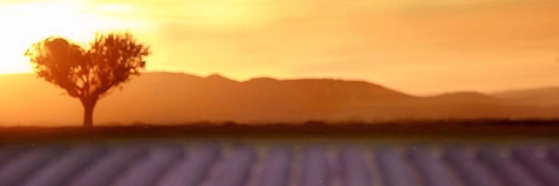 A Z banner