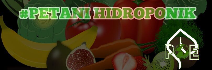 PetaniHydro's profile banner image