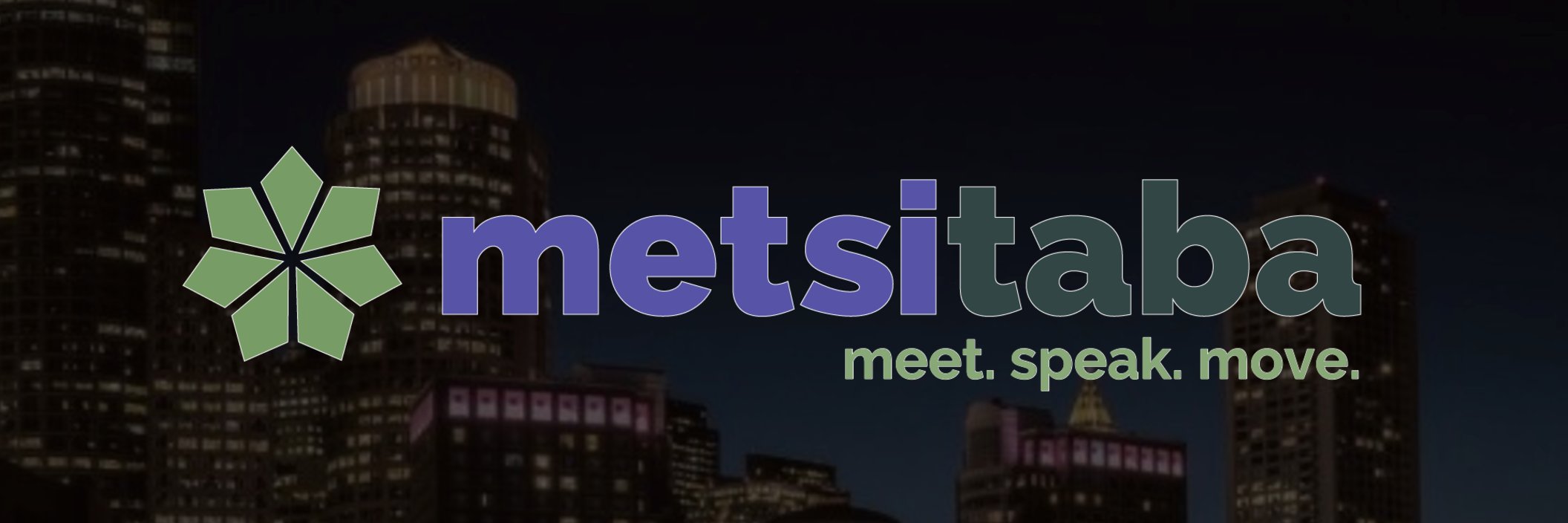 metsitaba's profile banner image