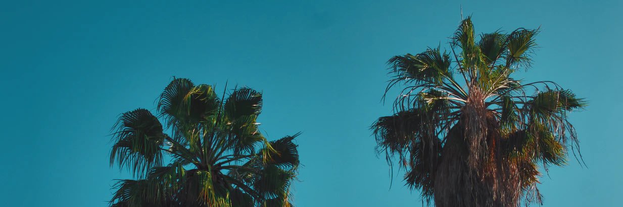 🫧BUBU 🍄 banner