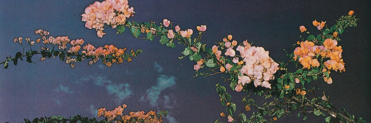 abbytheghost's profile banner image