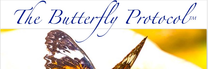 TheButterflyProtocol™ banner