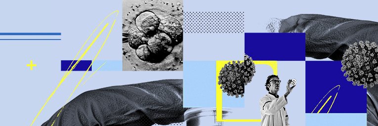 WIRED Science's banner