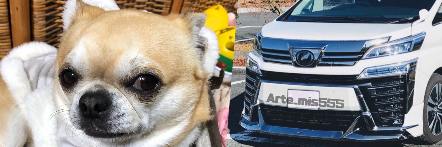 Artemis@ 疲れ気味!!😂 banner