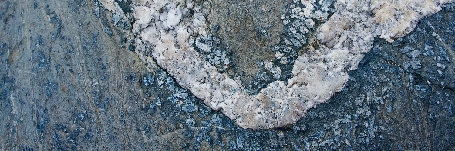 Guy Incognito banner