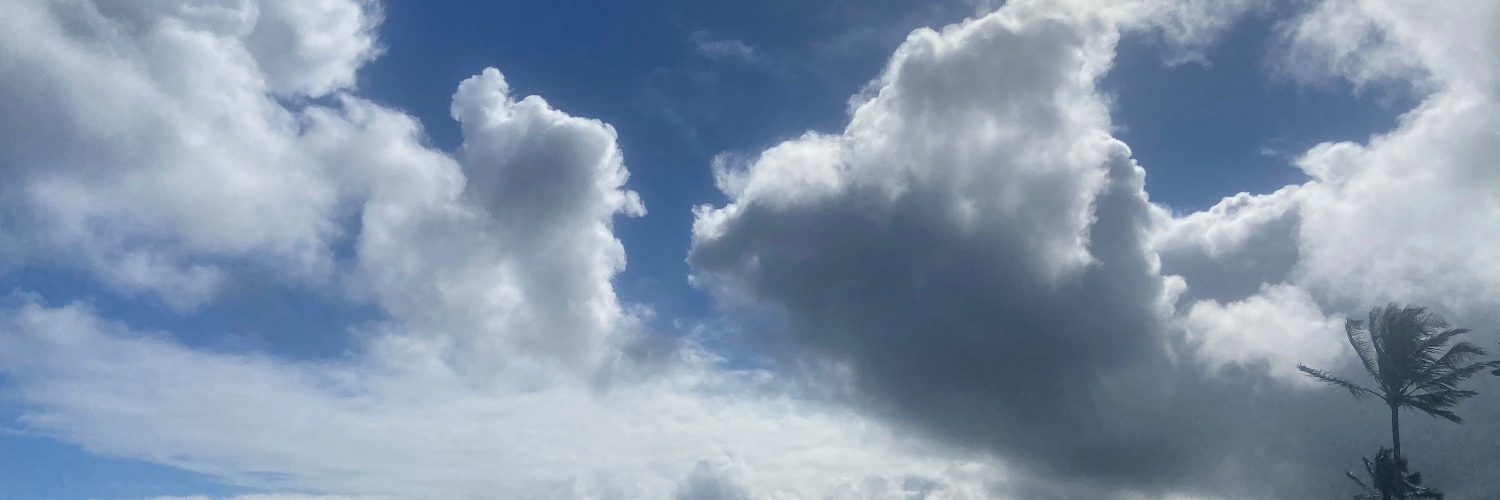 BrookeObie's profile banner image