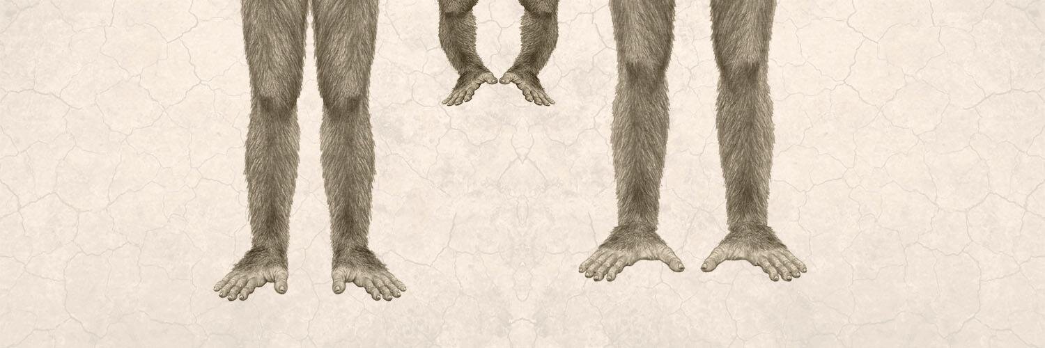 evanjburrows's profile banner image
