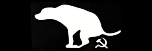 LibertarioSudaca banner