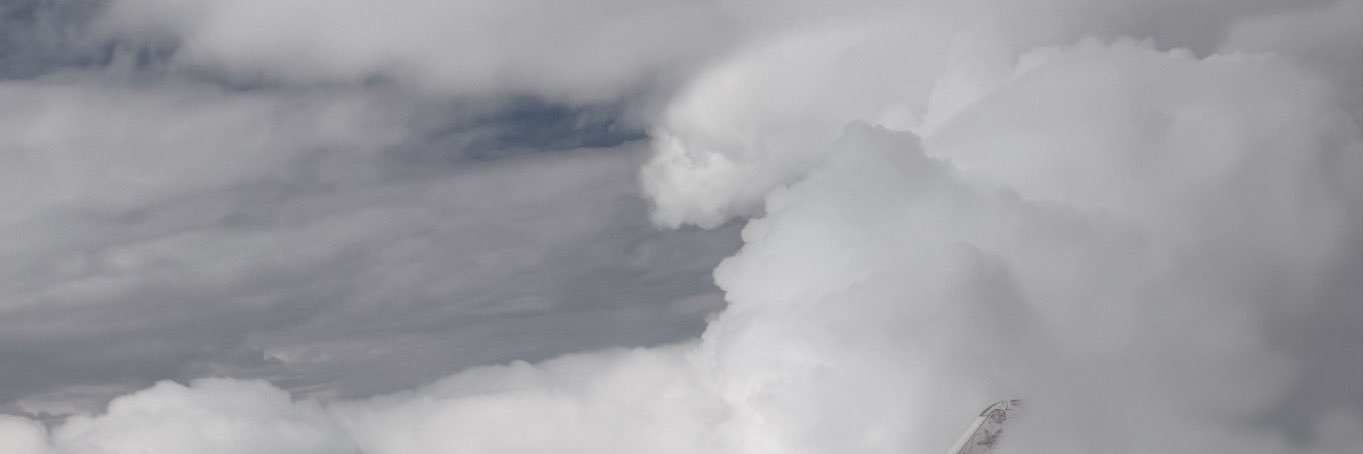 amelemus02's profile banner image