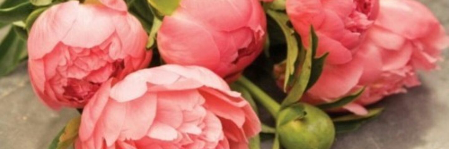 Monicalovee6's profile banner image