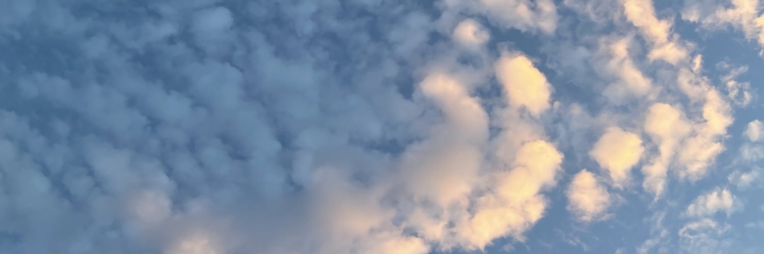 oliviaa914's profile banner image
