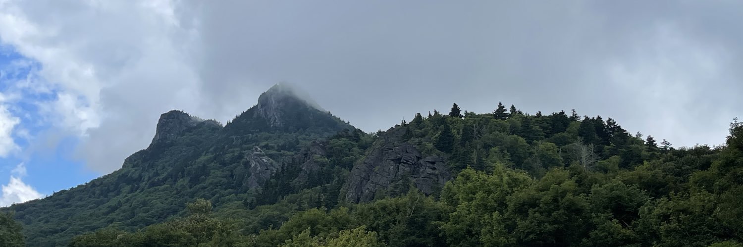 Dissavvy's profile banner image